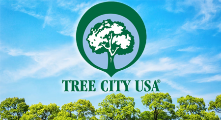 Scottsboro earns 2024 Tree City USA recognition